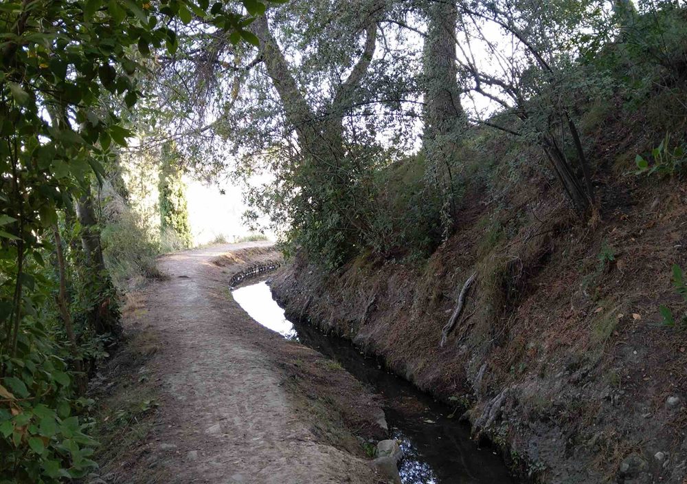 Acequia Real: a hike through the Alhambra's natural environment