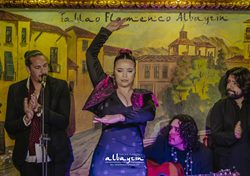 Espetáculo no Tablao Flamenco Albayzín