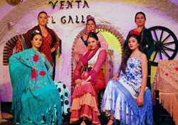 Spettacolo Flamenco alla Venta El Gallo Granada Spettacolo Flamenco alla Venta El Gallo Granada