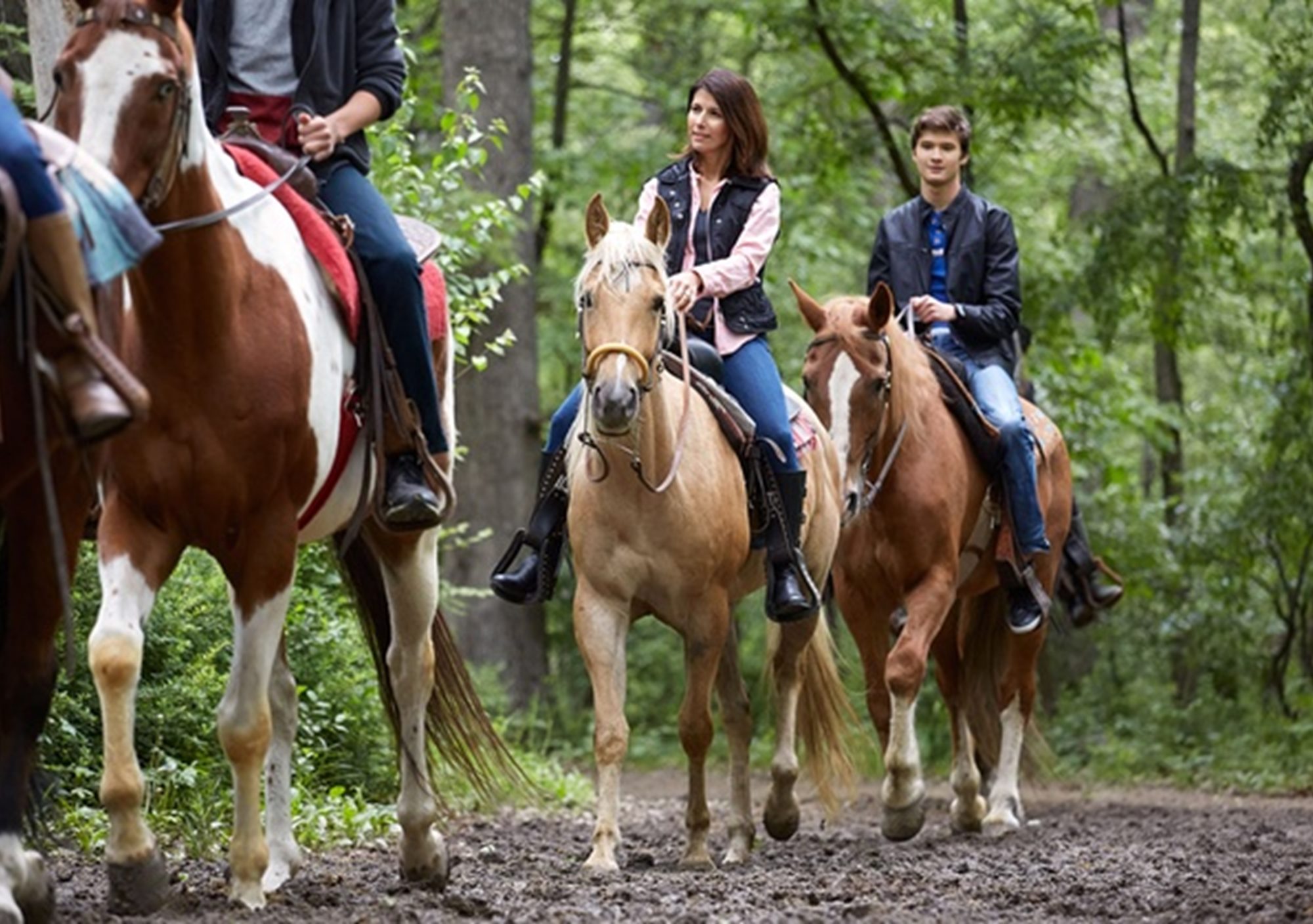 visitar el Aljarafe en caballo, Paseo a caballo por el Aljarafe sevilla, visitas guiadas a caballo por el Aljarafe, tours ecuestre a caballo por el Aljarafe, excursiones hípica a caballo por el Aljarafe de sevilla