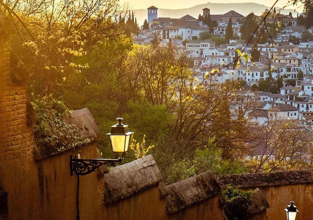 Visita guiada privada por Granada