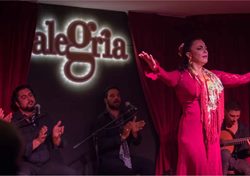 Flamenco show Alegría in Malaga