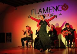Spektakel im Tablao Flamenco-Palast
