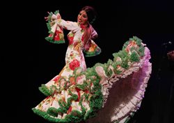 Show im Flamenco Alegría de Malaga