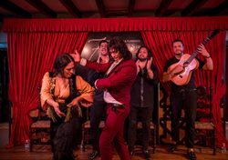 Espectáculo Flamenco en Granada: Jardines de Zoraya