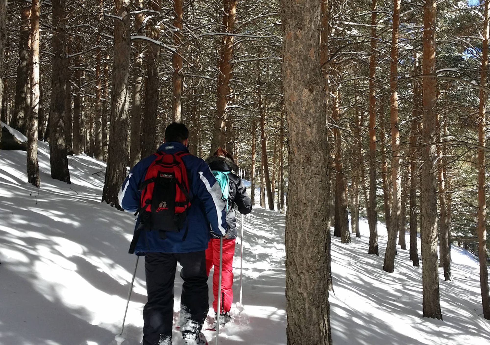 Ruta guiada con raquetas de nieve Hoya de la Mora Borreguiles sierra nevada Granada