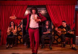 Espetáculo de Flamenco em Granada: Jardines de Zoraya Espetáculo de Flamenco em Granada: Jardines de Zoraya