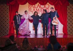 Spettacolo nel Tablao Palazzo Flamenco, Granada Spettacolo nel Tablao Palazzo Flamenco, Granada