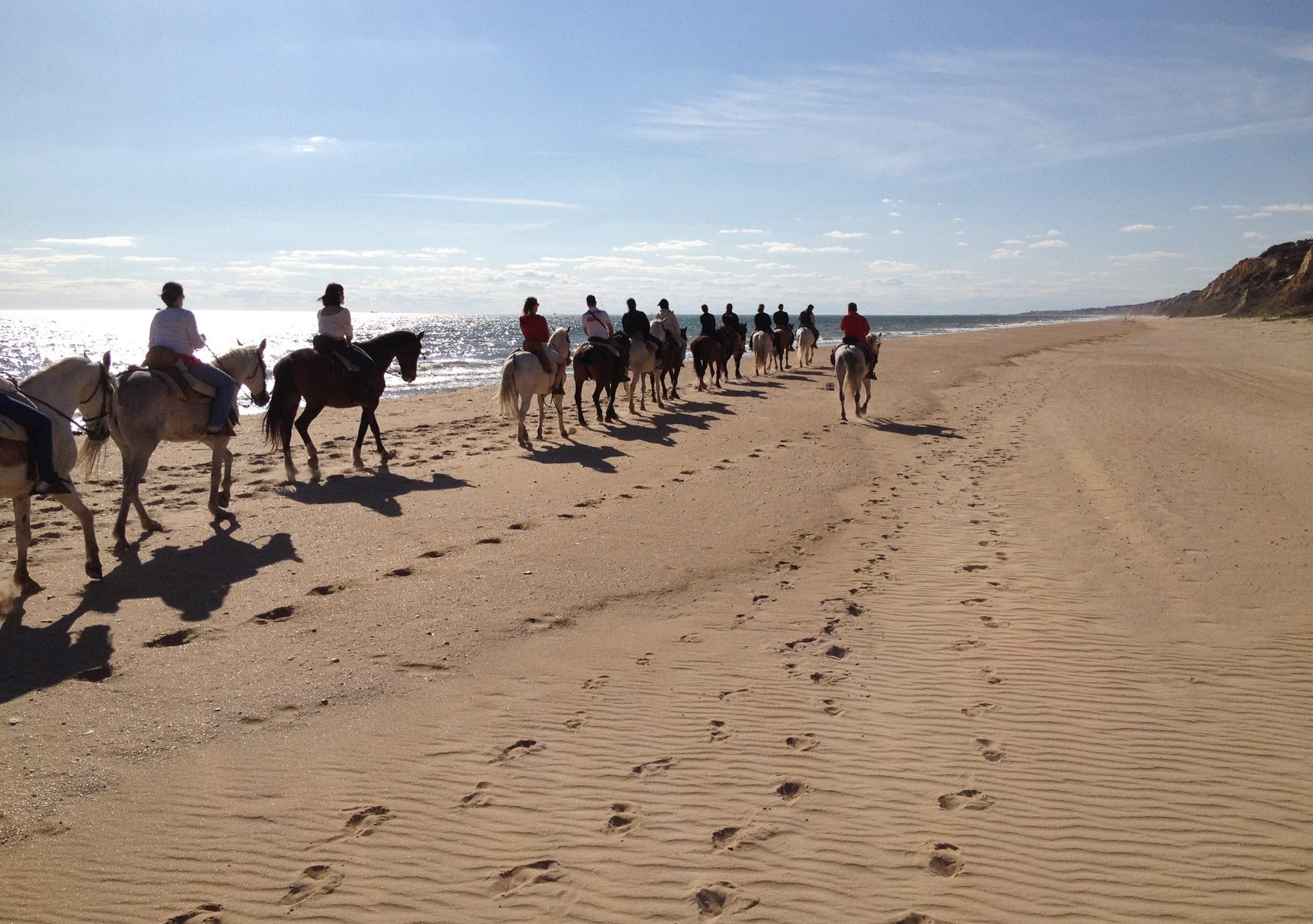 Visitar Doñana playas dunas y coto a caballo, visitas guiadas a caballo por Doñana playas dunas y coto, tours guiados a caballo por Doñana playas dunas y coto, excursión a caballo por Doñana playas dunas y coto, Rutas a caballo por Doñana playas dunas y coto