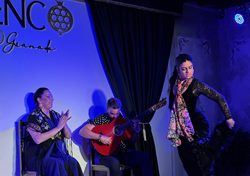 Flamenco-Show im Tablao „Flamenco en Palacio“ Flamenco-Show im Tablao „Flamenco en Palacio“
