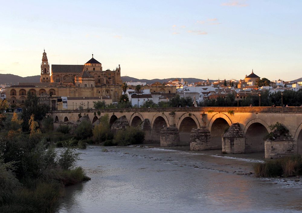 Visita privada a Córdoba y su Mezquita desde Granada