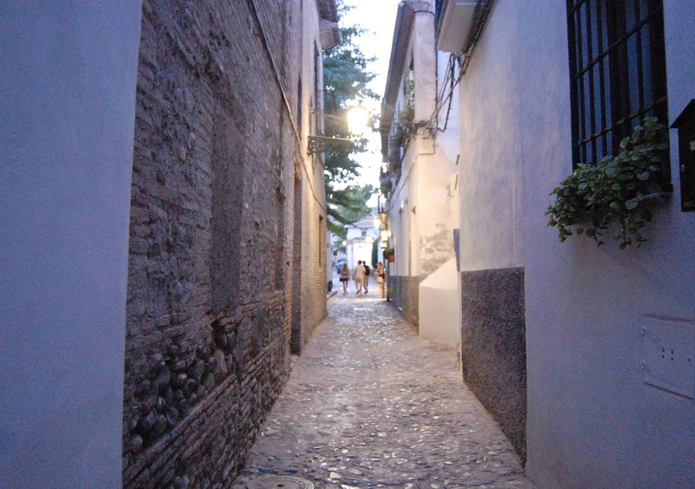 Découvrez l'Albaicín et le Sacromonte au cours d'une visite privée