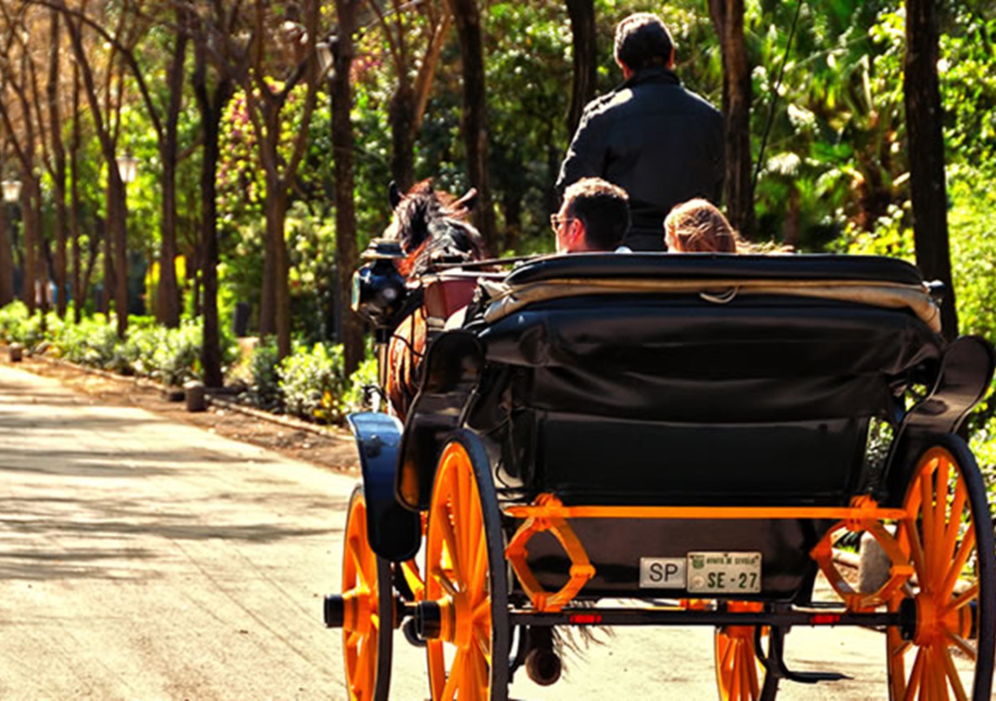 Paseo en coche de caballos por Sevilla, visitar Sevilla en coche de caballos , visitas calesa en coche de caballos por Sevilla, tours en calesa coche de caballos por Sevilla, excursiones en coche de caballos por Sevilla