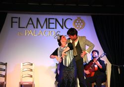 Flamenco-show på Tablao Flamenco en Palacio